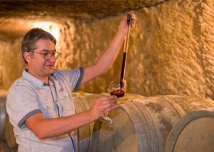 Dégustation auprès des barriques au cœur des chais du Domaine de la Perruche