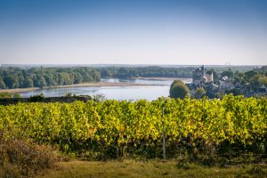 Domaine de la Perruche - Vue sur la Loire et le Village de Montsoreau