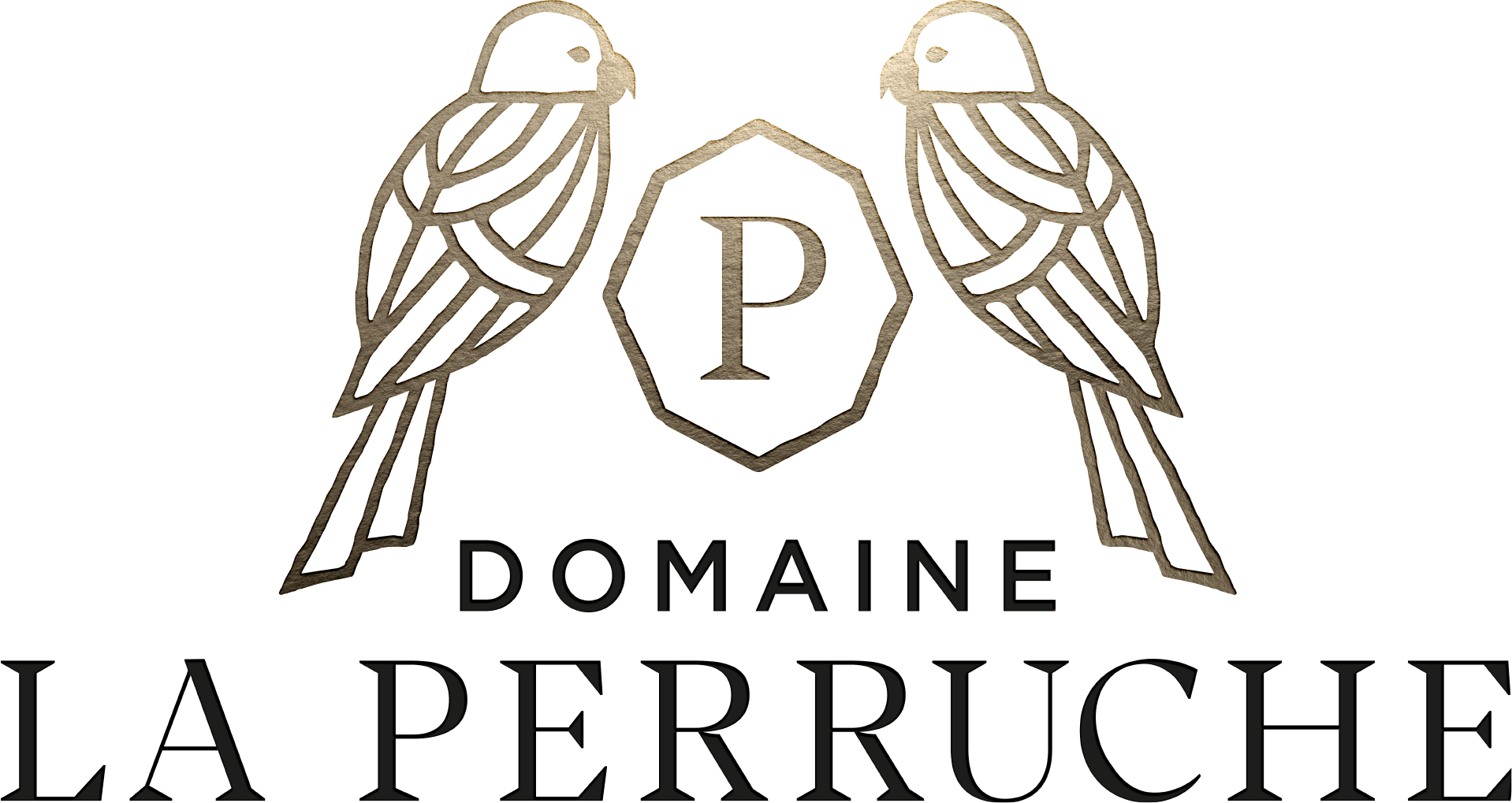 logo perruche
